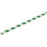 Plasma Paper Green Stripe Straw 20cm - pack size 1