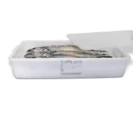 Araven Large Food Storage Container With Lid 40ltr Polypropylene - pack size 1