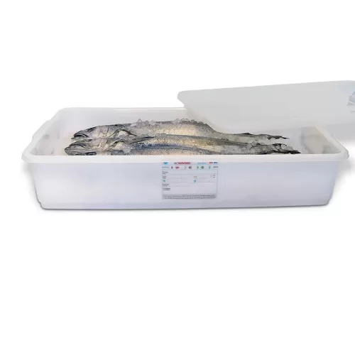 Araven Large Food Storage Container With Lid 40ltr Polypropylene - pack size 1