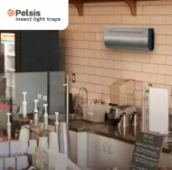 Infiniti Compact Front of House Fly Killer