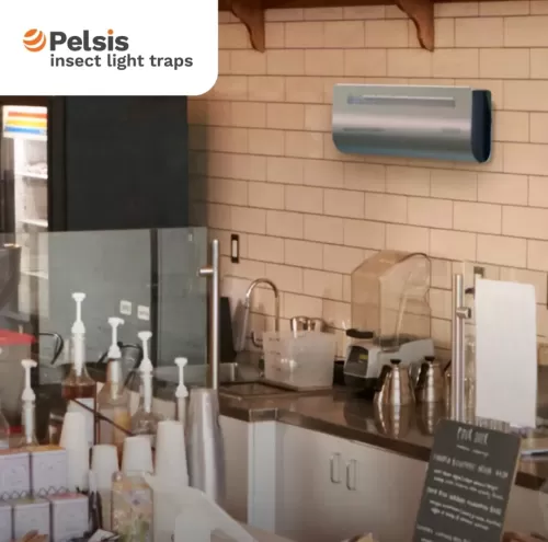 Infiniti Compact Front of House Fly Killer