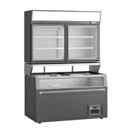 Prodis Wall Site Combi Freezer