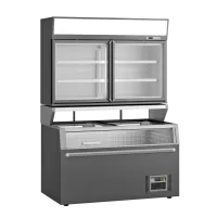 Prodis Wall Site Combi Freezer