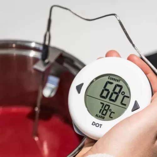 ETI DOT Digital Oven Thermometer
